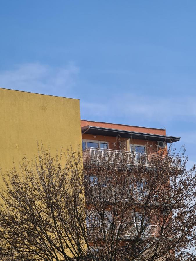 Apartman *Joy* Osijek Eksteriør billede